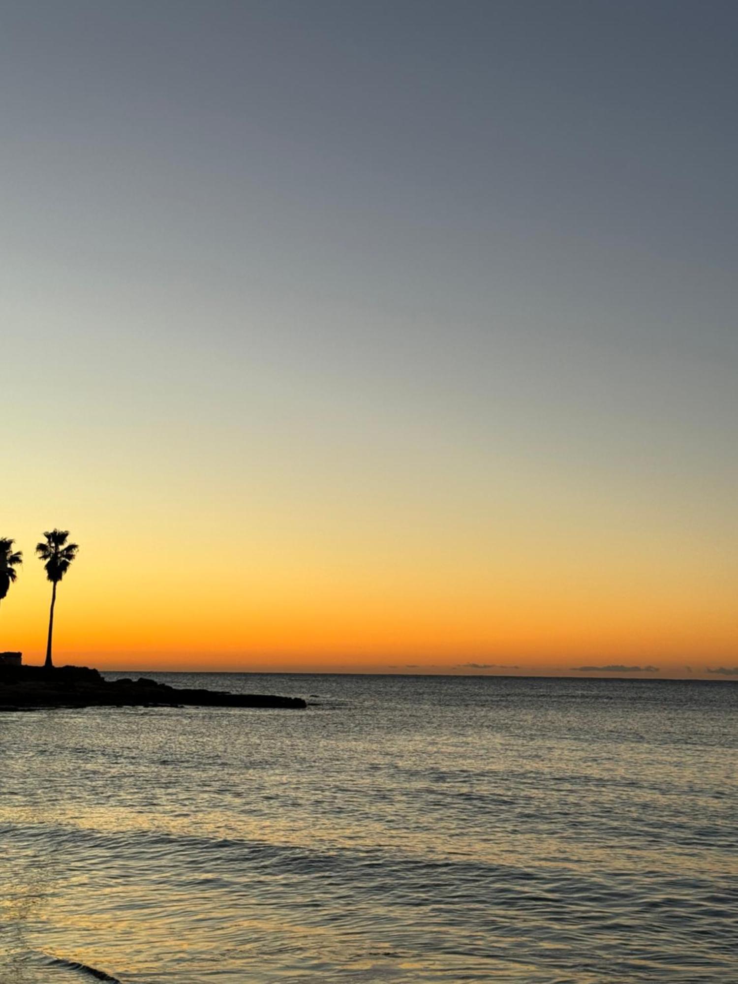Beach Apartament In Torrevieja Dış mekan fotoğraf